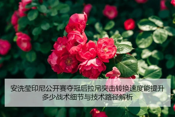 安洗莹印尼公开赛夺冠后拉吊突击转换速度能提升多少战术细节与技术路径解析